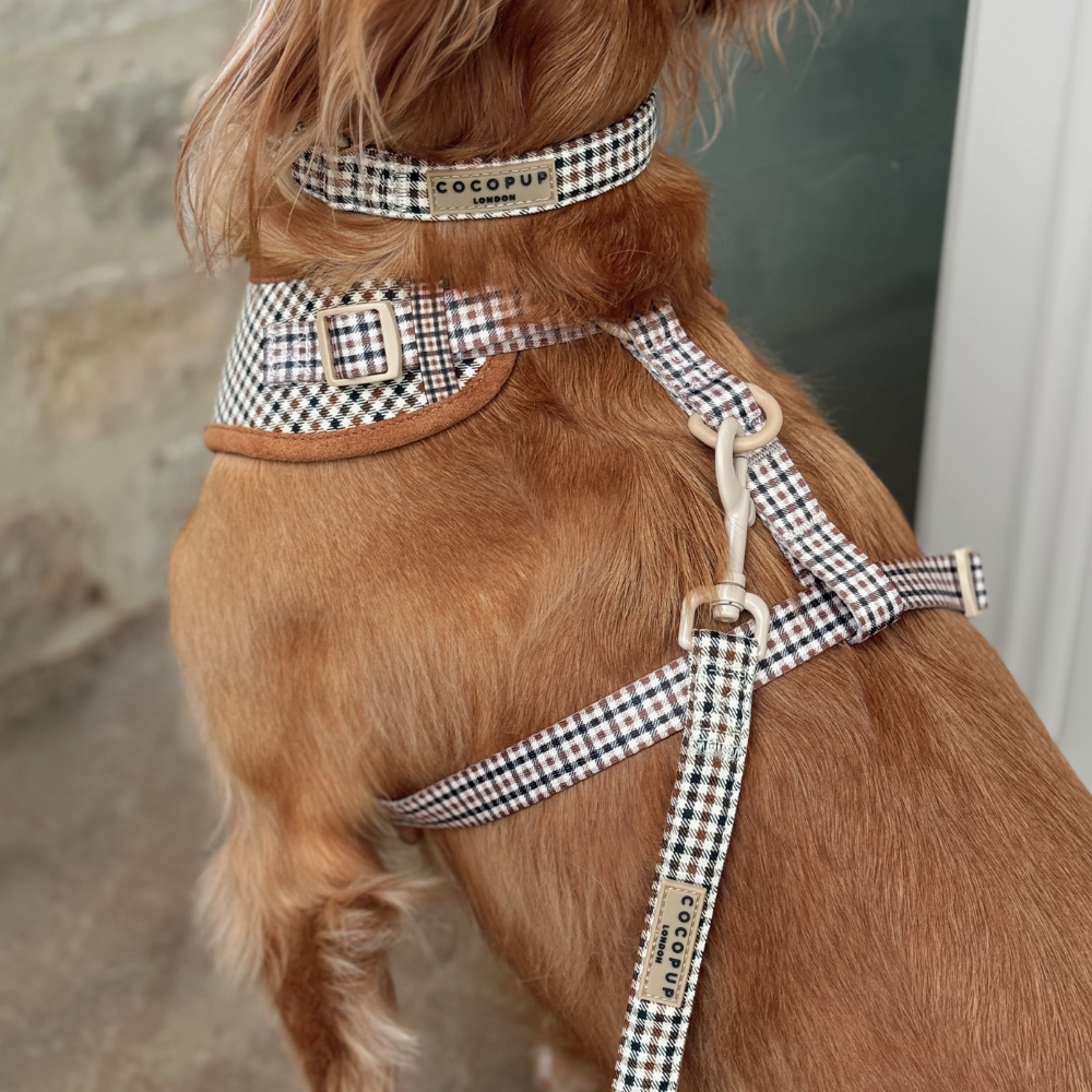 Cocopup London - Heritage Check Lead