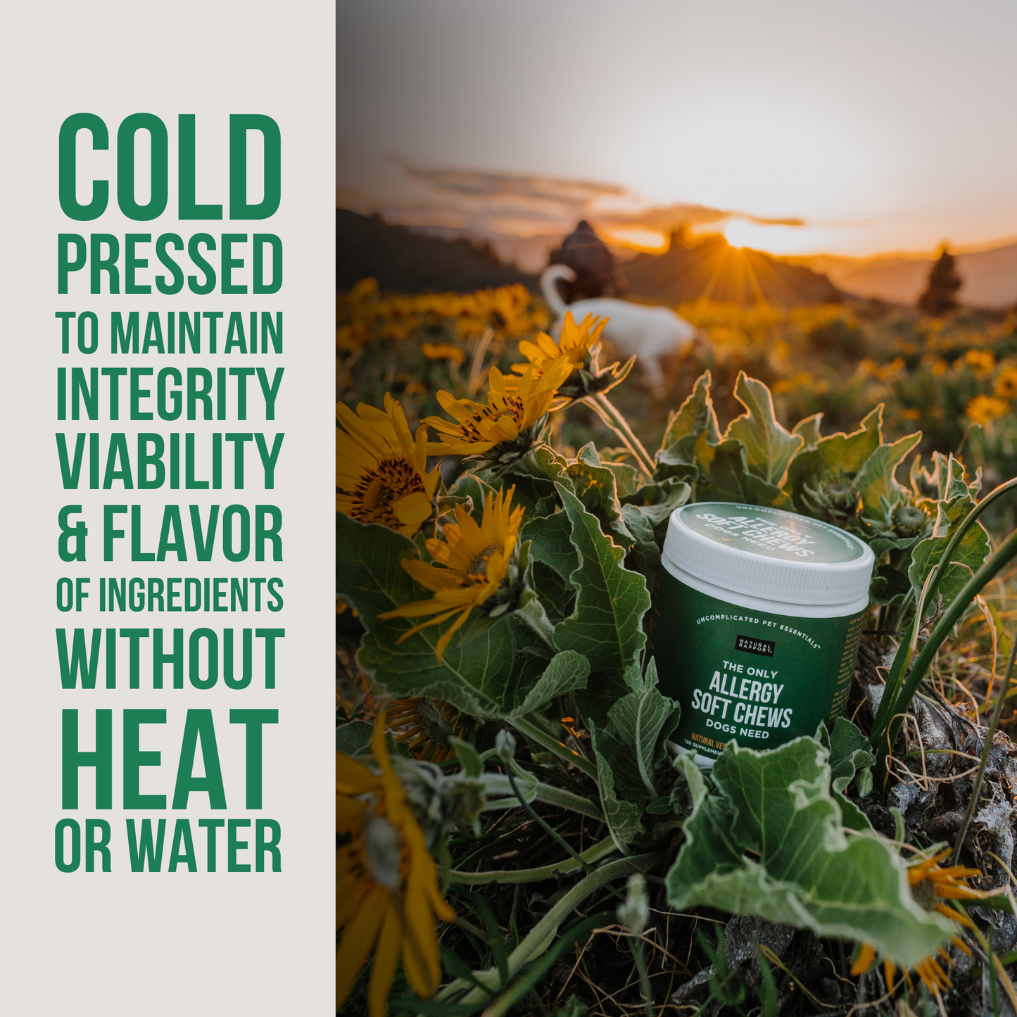 Natural Rapport - The Only Allergy Soft Chews Dogs Needs