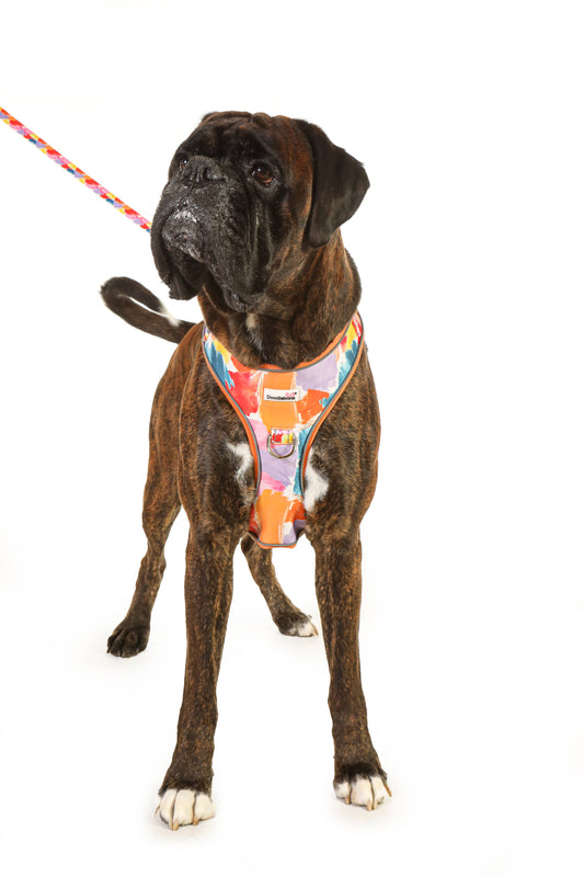 Doodlebone - Adjustable Airmesh Dog Harness