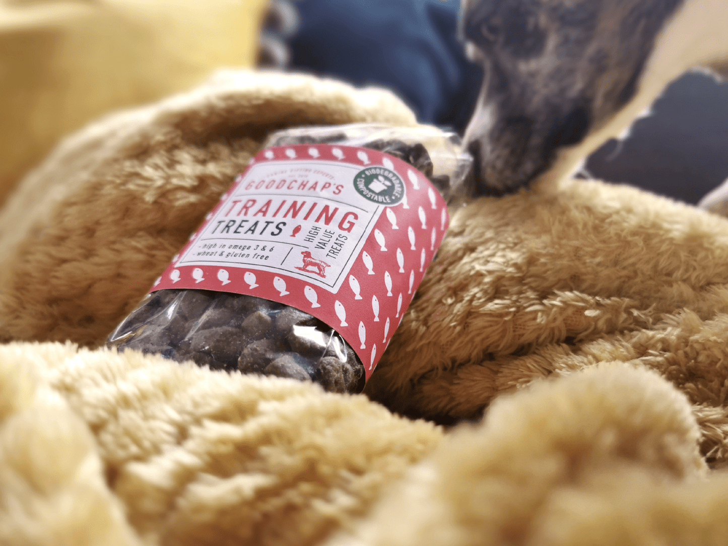 Fish Training Treats | Eco friendly Treats | Plastic Free