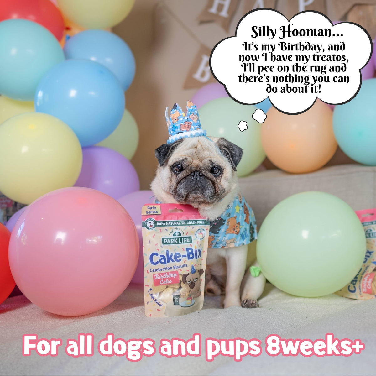 PARK LiFE - Cake-Bix Dog Biscuits Birthday Cake Flavour 100g
