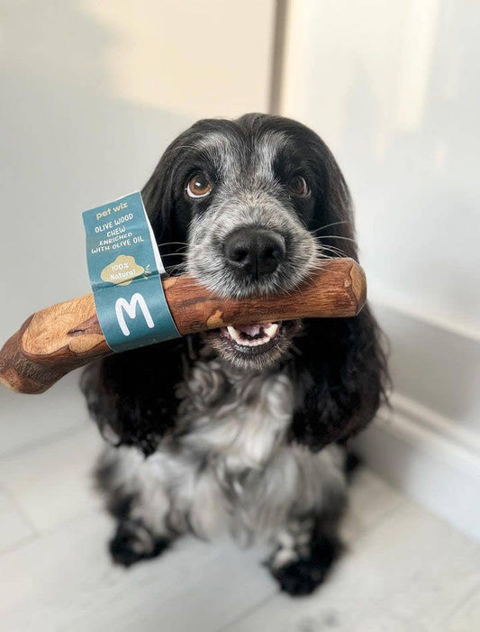 Pet Wiz - Olive Wood Chew - Enriched with Olive Oil