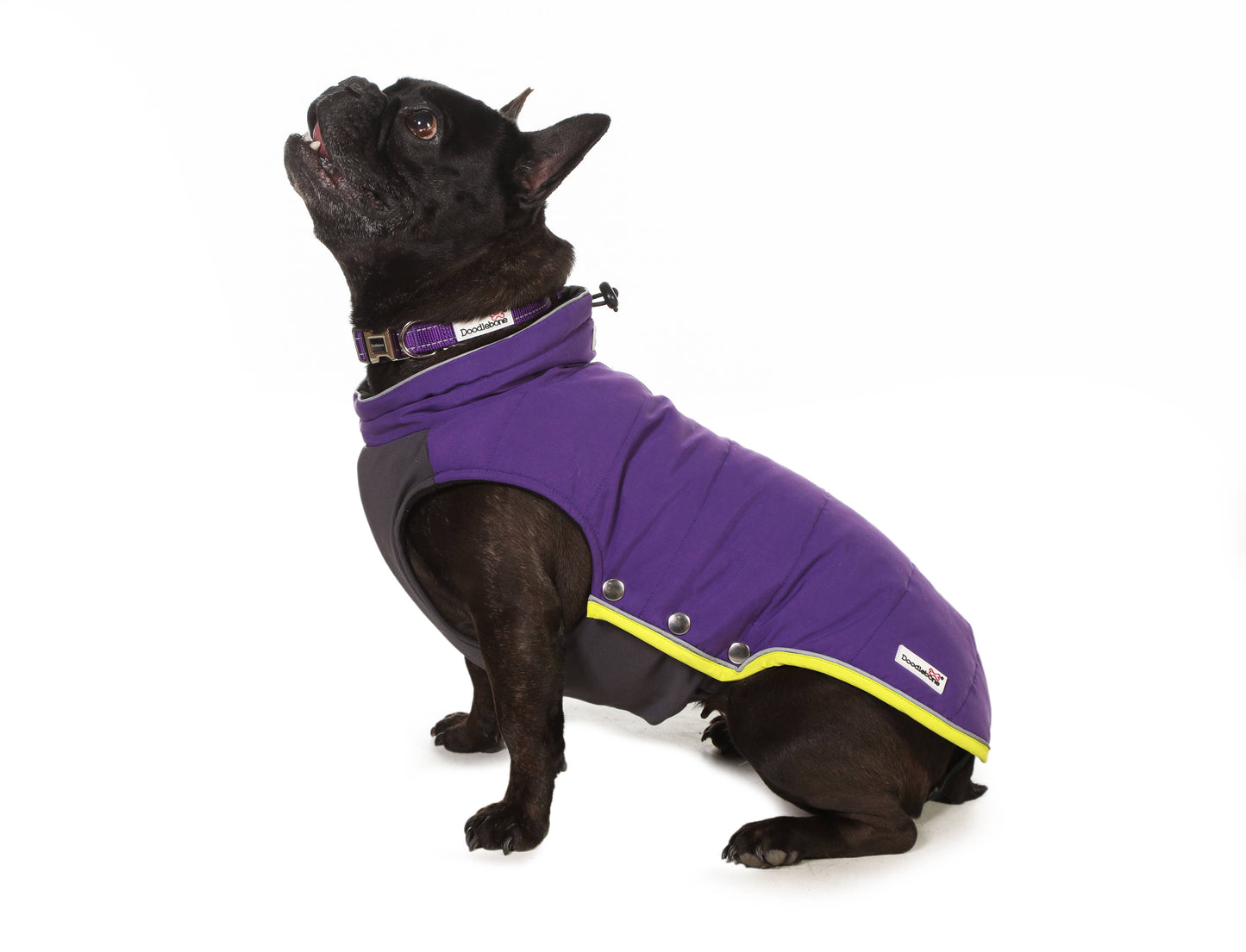 Doodlebone - Dog Puffer Jackets