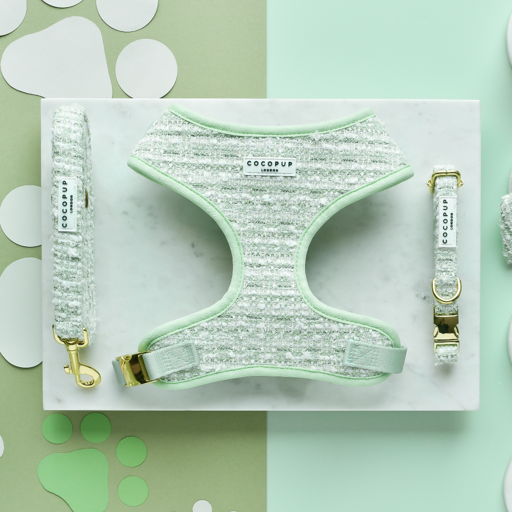 Cocopup London - Matcha Textured Tweed Collar