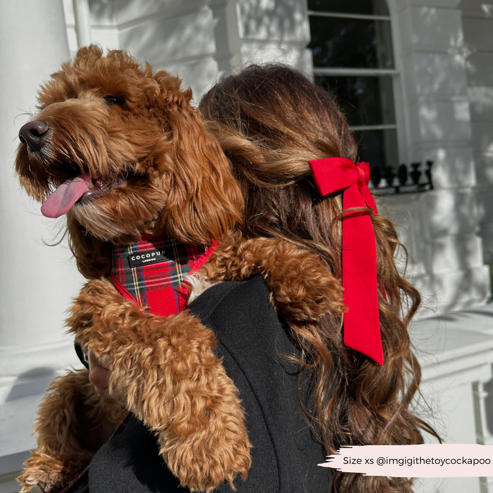 Cocopup London - Tartan Adjustable Neck HARNESS