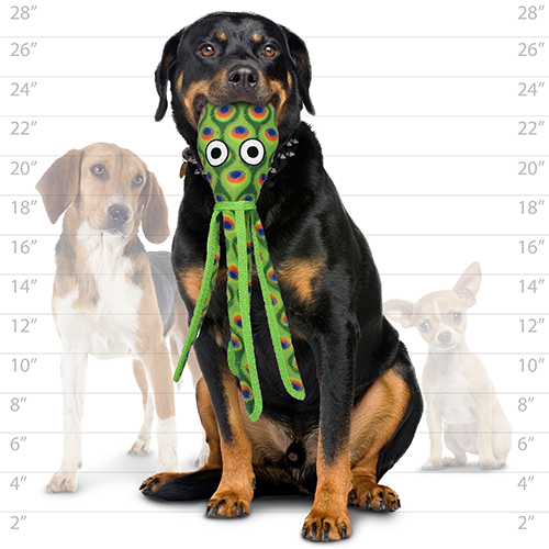 Tuffy Dog Toys - VIP Products - Tuffy Ocean Squid - Green, Durable, Tough, Squeaky Dog Toy