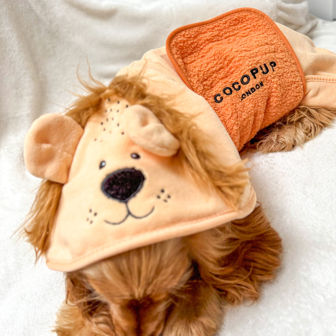 Cocopup London - Roary the Lion Drying Robe