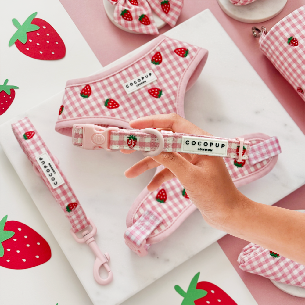 Cocopup London - Strawberry Picnic Pup COLLAR