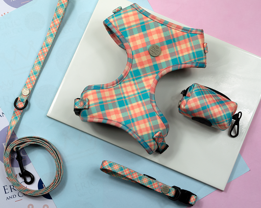 Close to the Bone - Rosado Dog / Puppy Harness, Lead, Collar Set