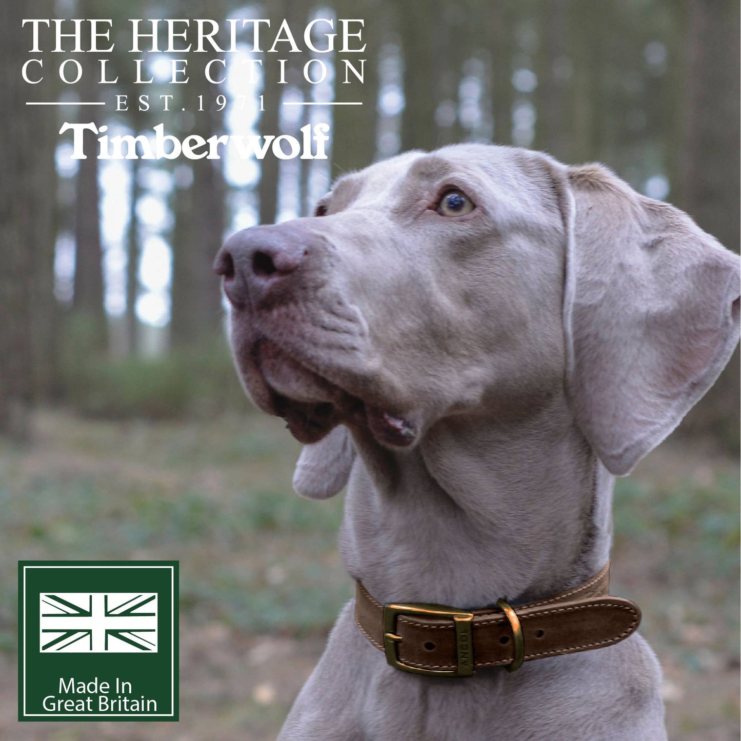 Ancol Pet Products Ltd - Timberwolf Leather Collar Sable