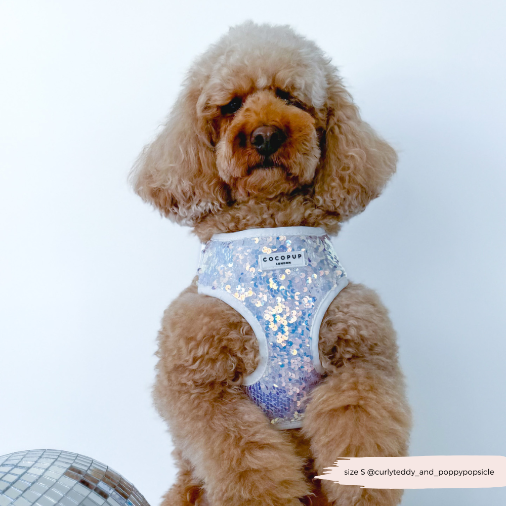 Cocopup London - LUXE Party Holographic Sequin HARNESS