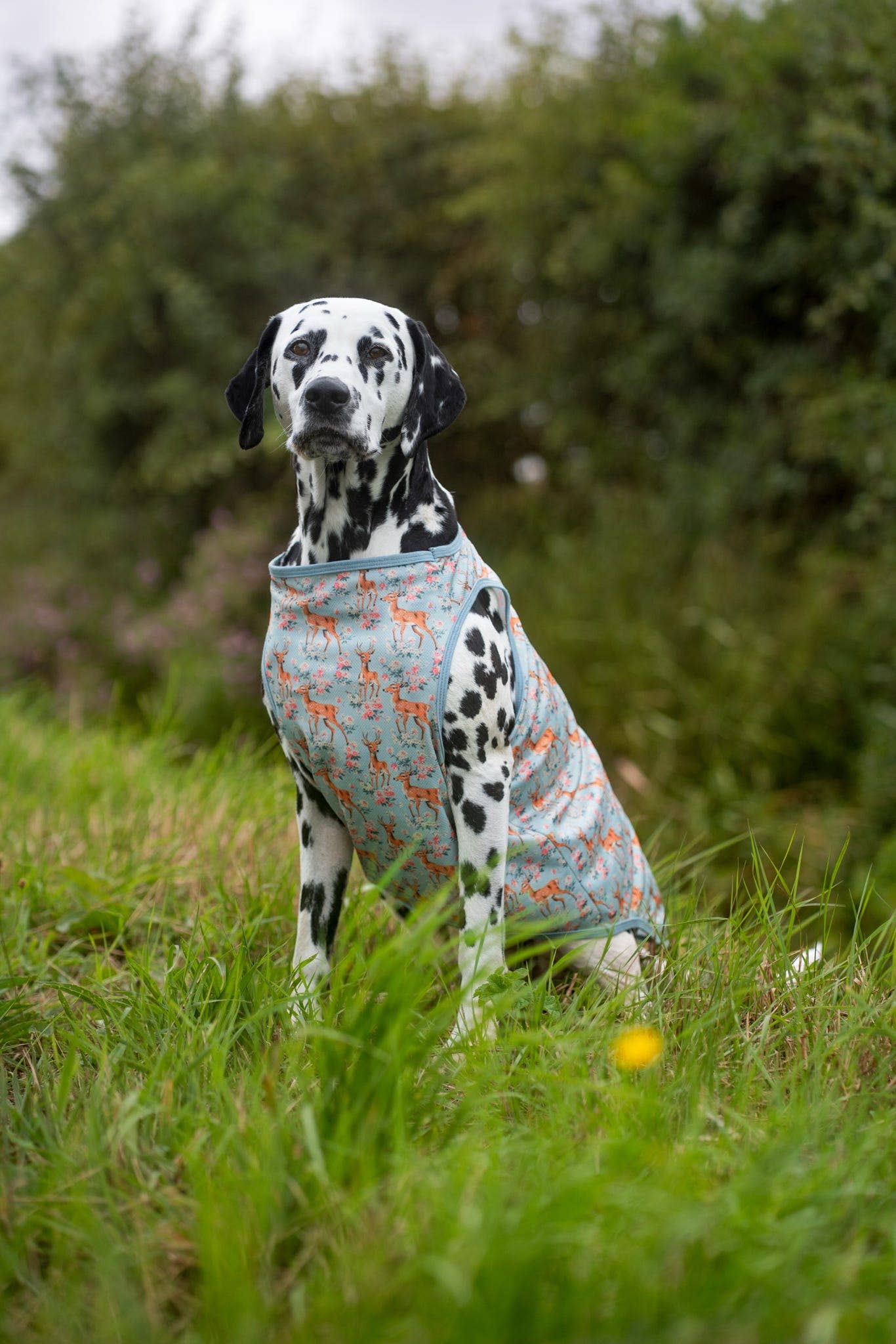 The Paw Print Boutique - Bambi in Bloom Cooling Vest