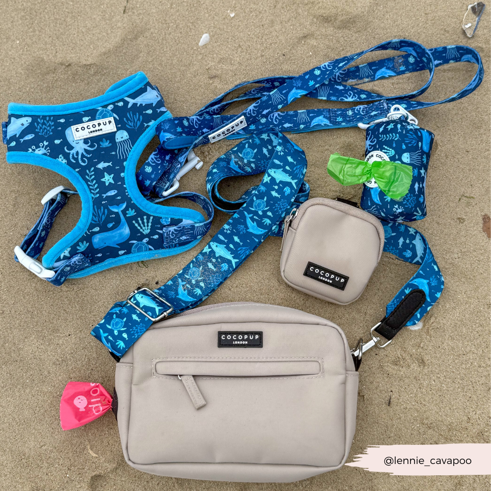 Cocopup London - Sea Life Pawty Lead