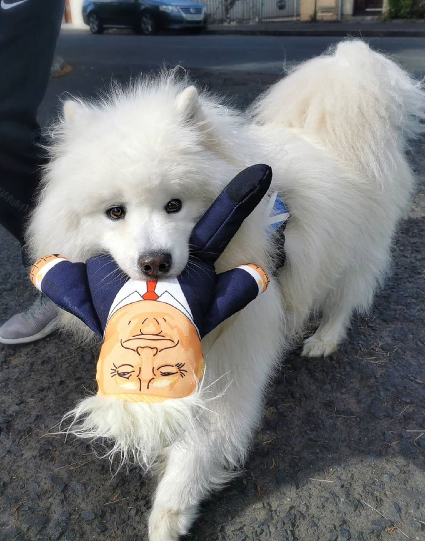 Pet Hates Toys - Donald Dog Toy