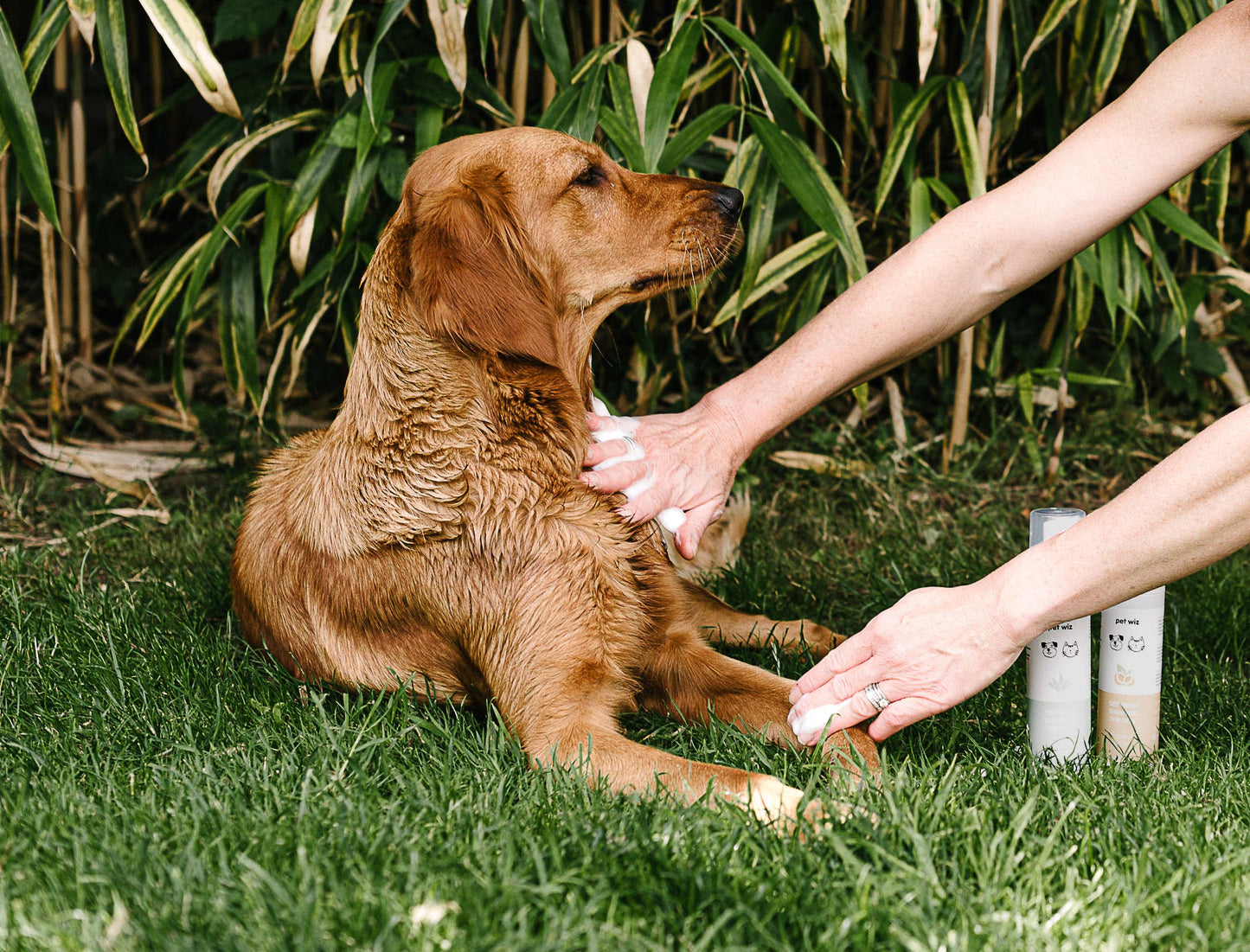 Pet Wiz - Dry Wash Shampoo for Pets – Soothing & Deodorising