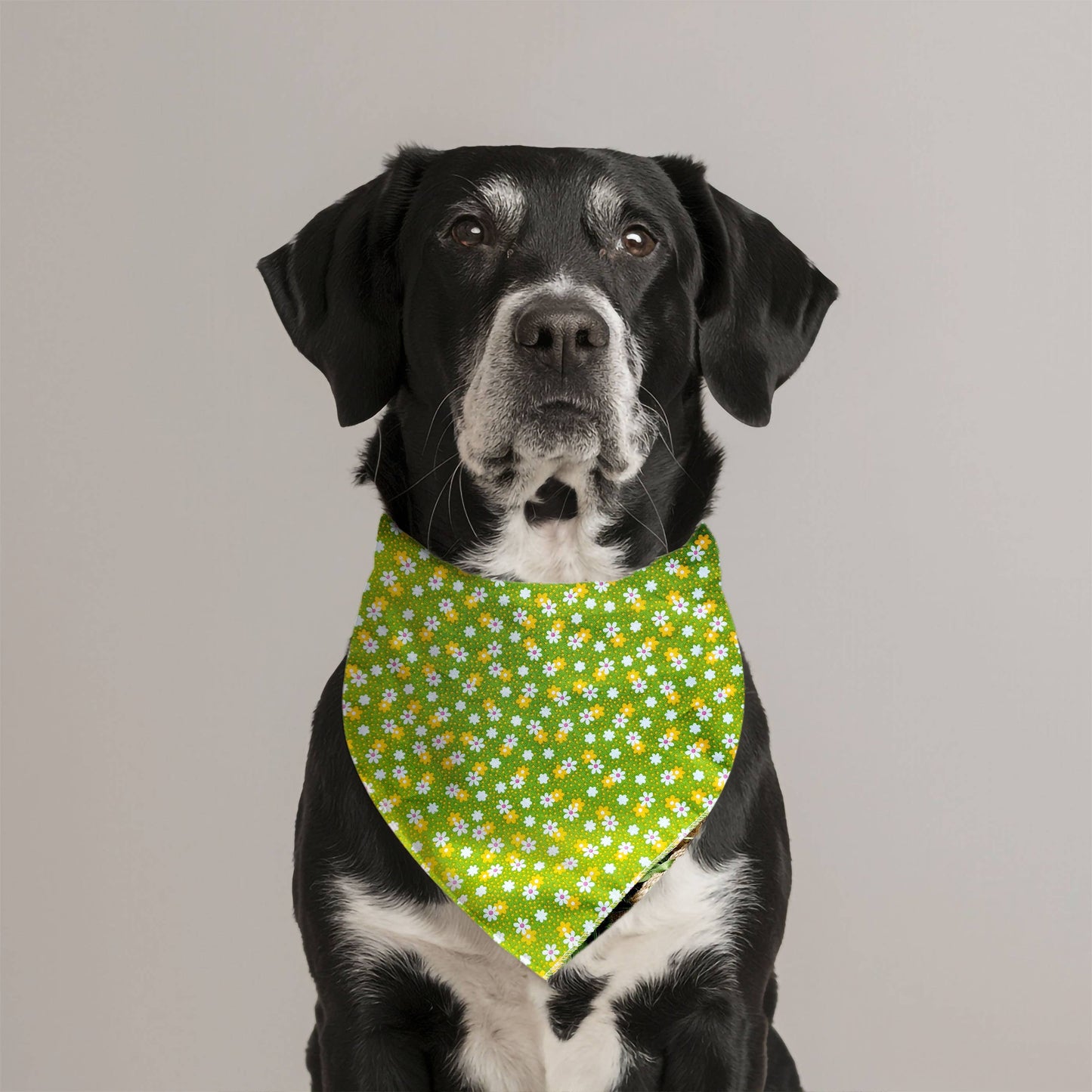Pet Pooch Boutique - Golden Green Daisy Floral Dog Bandana (Flower) - Handmade