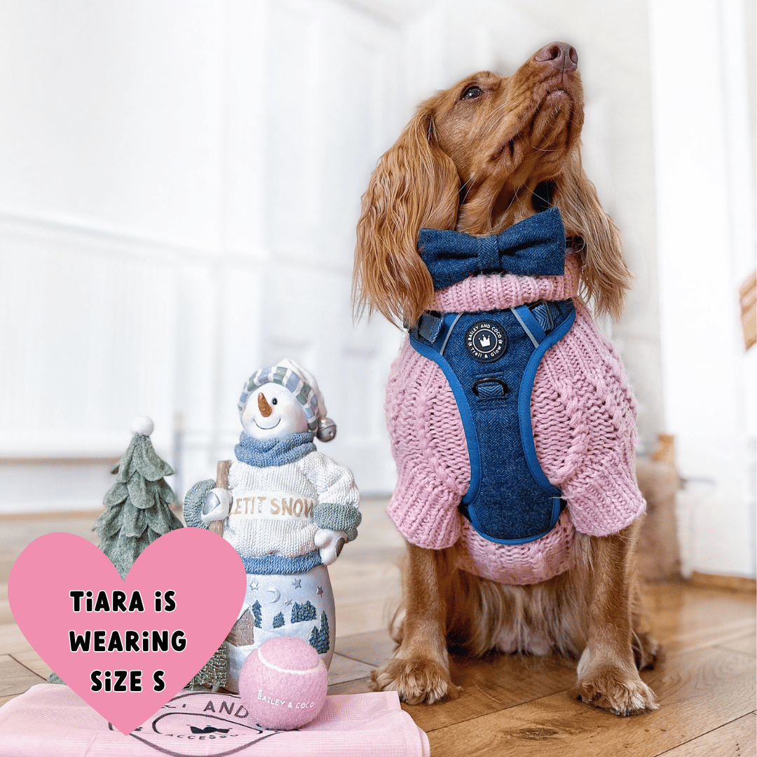 Bailey and Coco - Trail & Glow Tweed Dog Harness - Sapphire Tweed