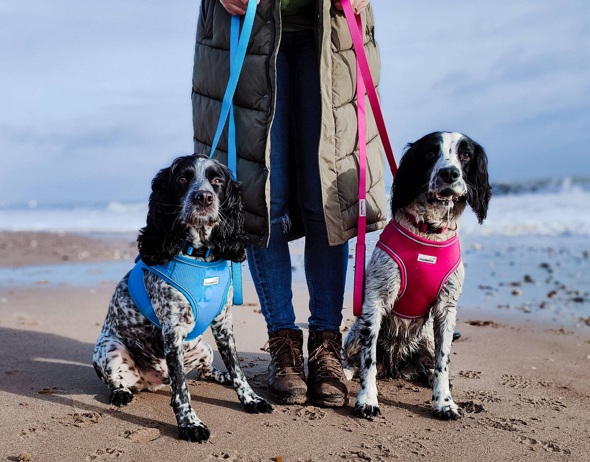 Doodlebone - Padded Dog lead