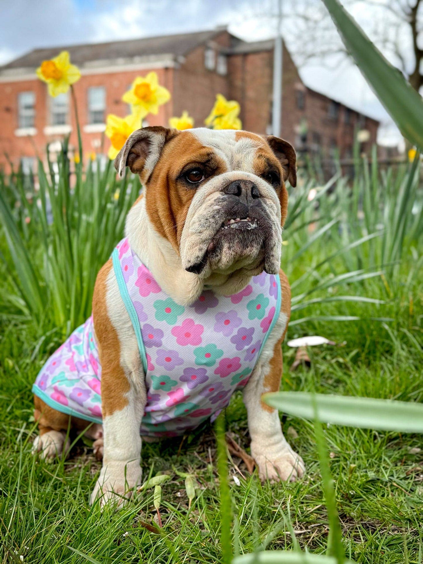 The Paw Print Boutique - The Minty Meadows / Flower Power Cooling Vest
