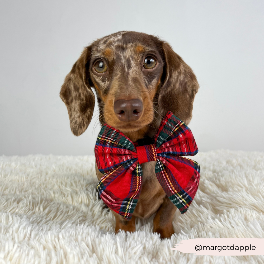 Cocopup London - Tartan Sailor Bow Tie