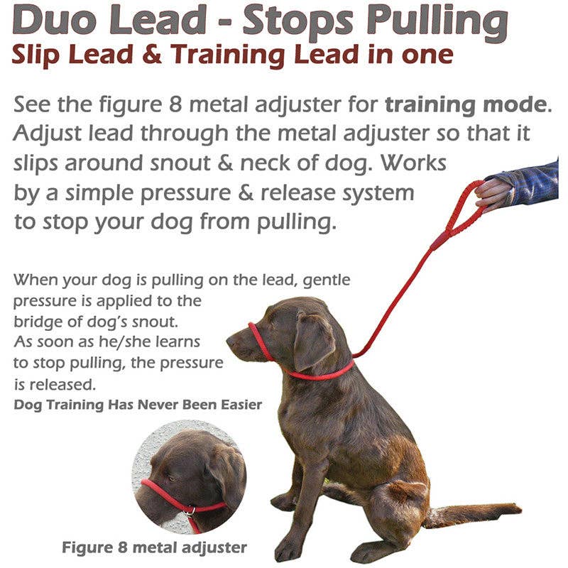 Miro & Makauri - Dog Slip Lead w Figure 8 Training Aid by Miro & Makauri "RUBBER HANDLE GRIP"