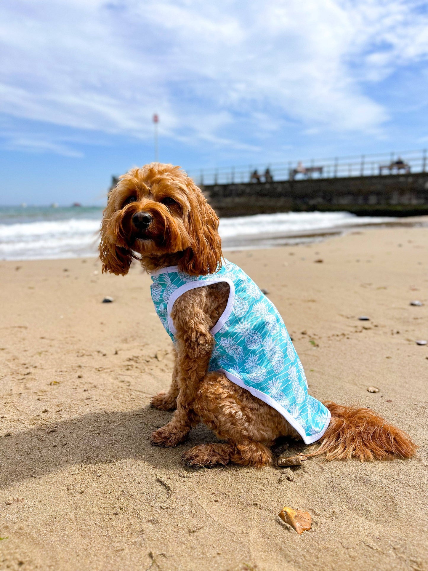 The Paw Print Boutique - The Pineapple Pawty Cooling Vest