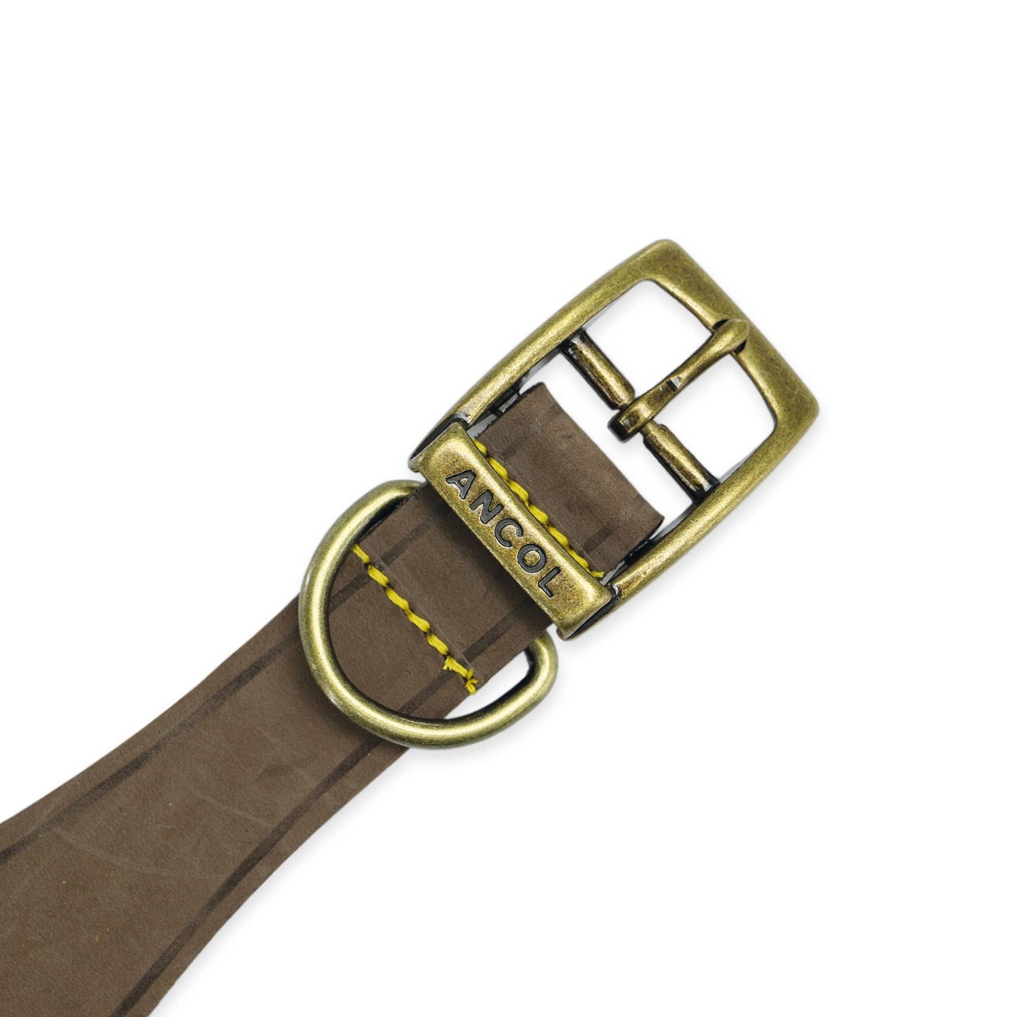 Ancol Pet Products Ltd - Timberwolf Hound Collar ( Size 34-43cm)