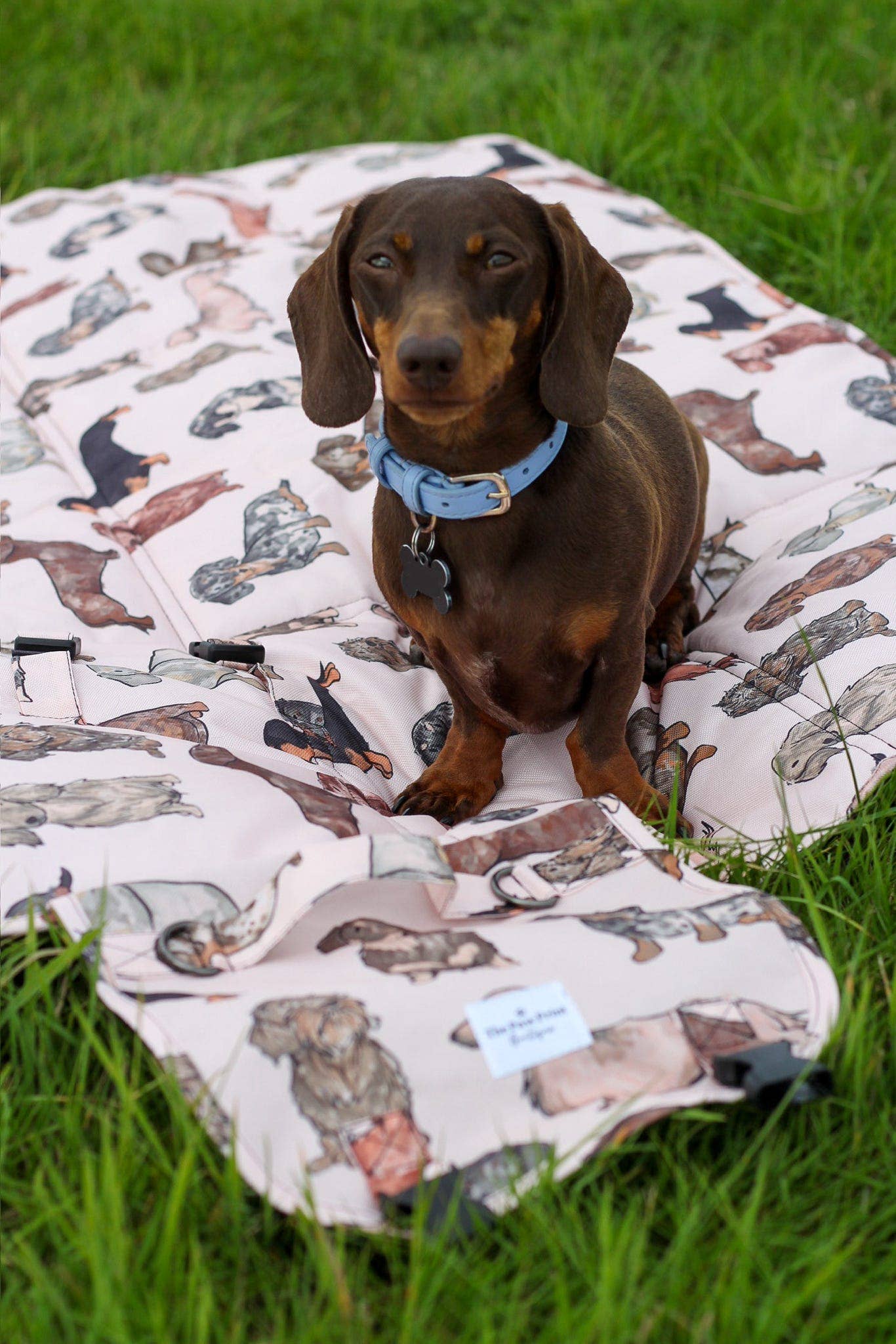 The Paw Print Boutique - The Dachshund Travel Mat