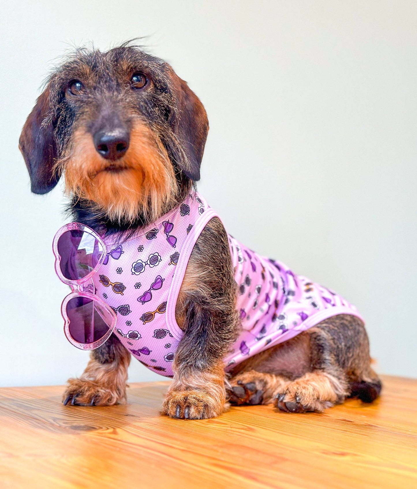 The Paw Print Boutique - The Sassy Sunnies Cooling Vest
