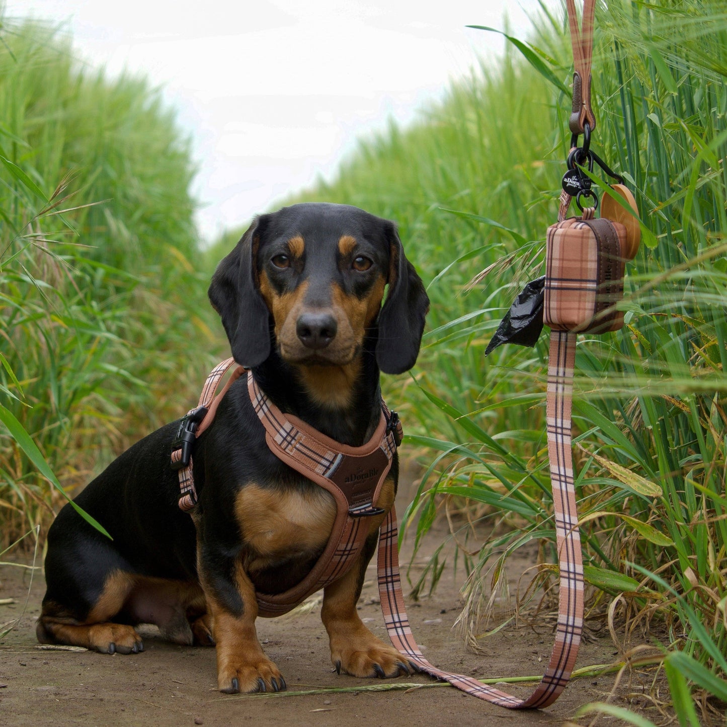 The aDoraBle Pooch Company - Heritage Dog Lead - Butterscotch Biscuit