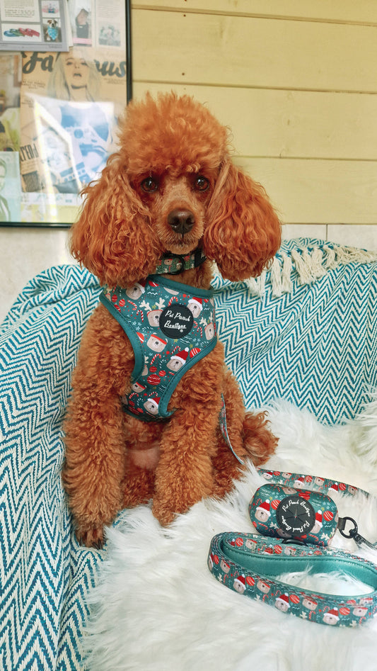 Pet Pooch Boutique - Jolly Bear Christmas Dog Lead - Green