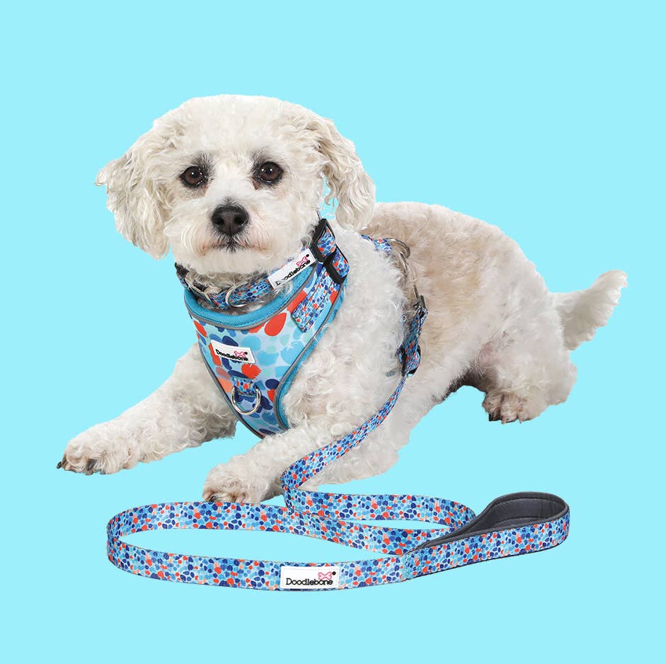 Doodlebone - Adjustable Airmesh Dog Harness