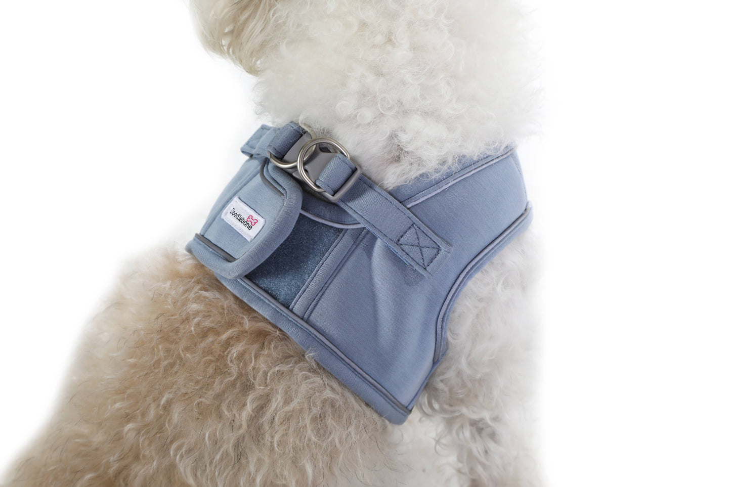 Doodlebone - Dinky Dog Snappy Harness