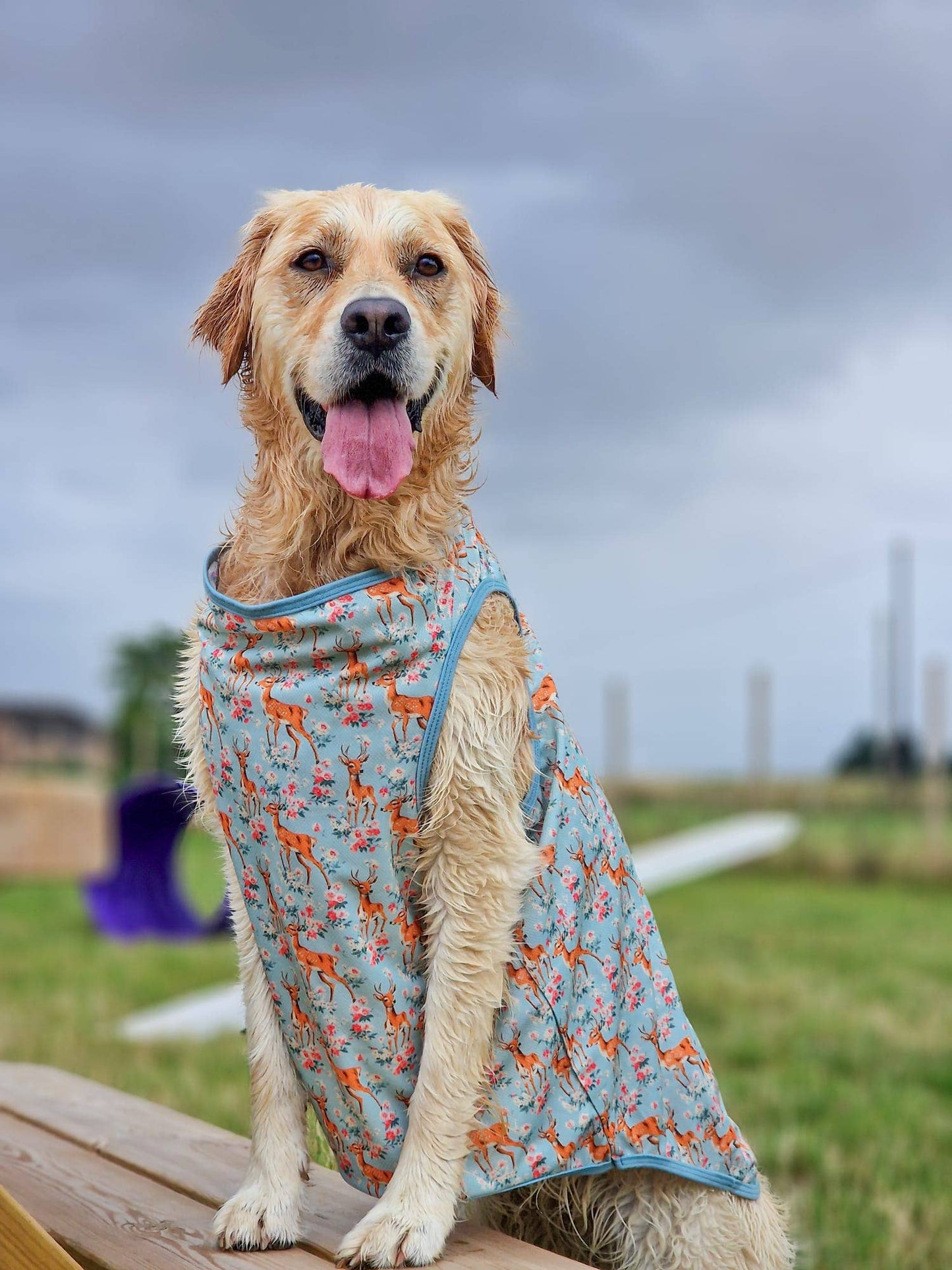 The Paw Print Boutique - Bambi in Bloom Cooling Vest