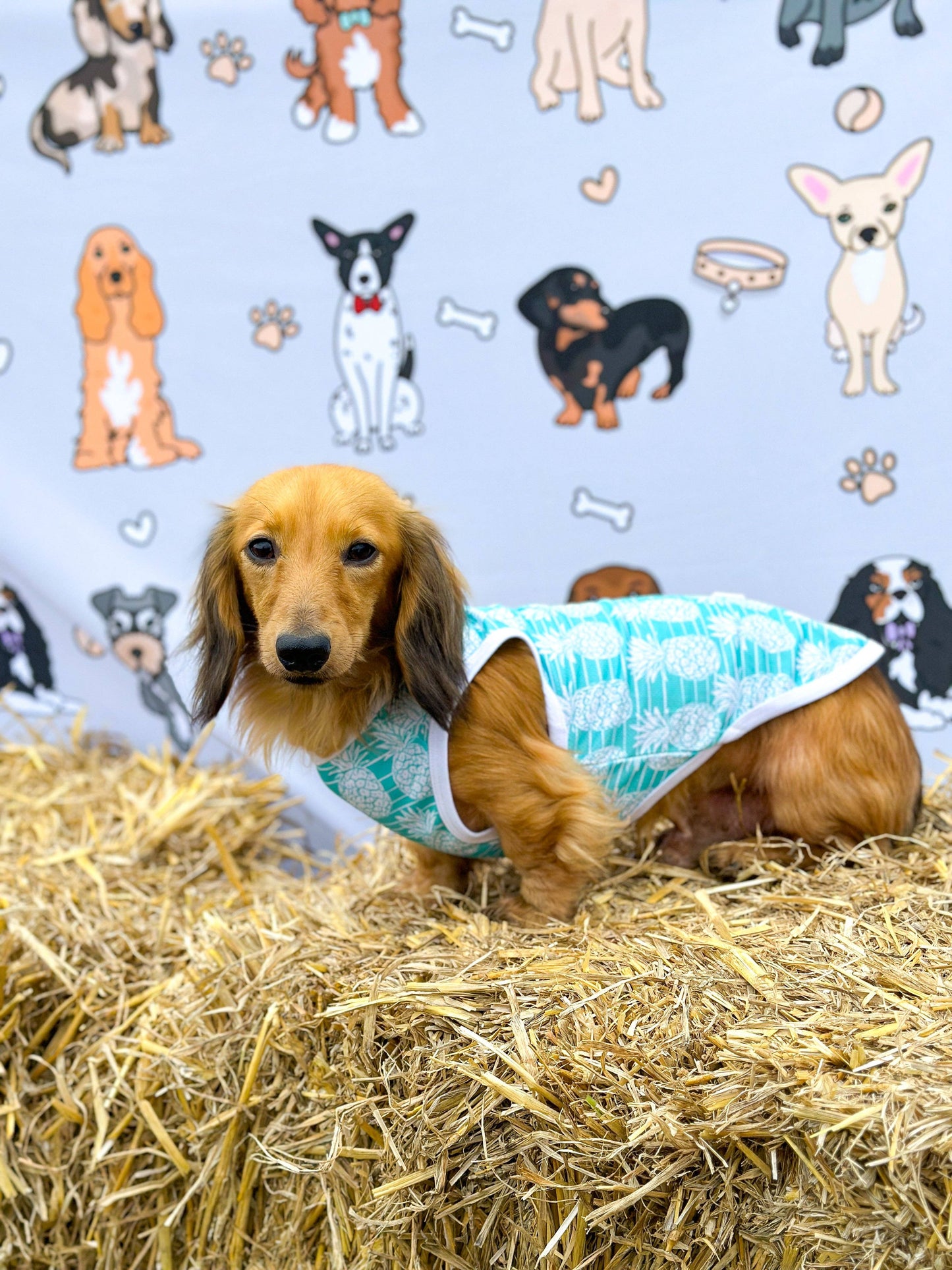 The Paw Print Boutique - The Pineapple Pawty Cooling Vest