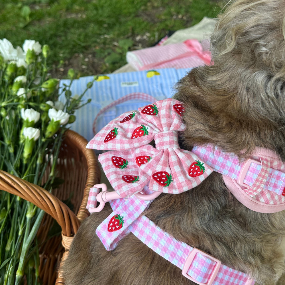 Cocopup London - Strawberry Picnic Pup Sailor Bow Tie