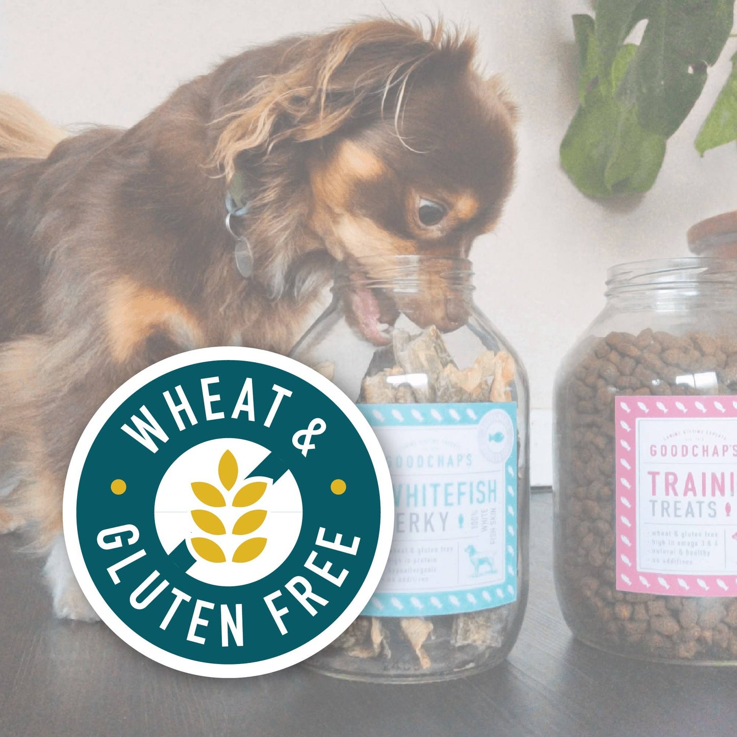Goodchap's - Mrs Cook's Fish Cakes | Natural Dog Treats 