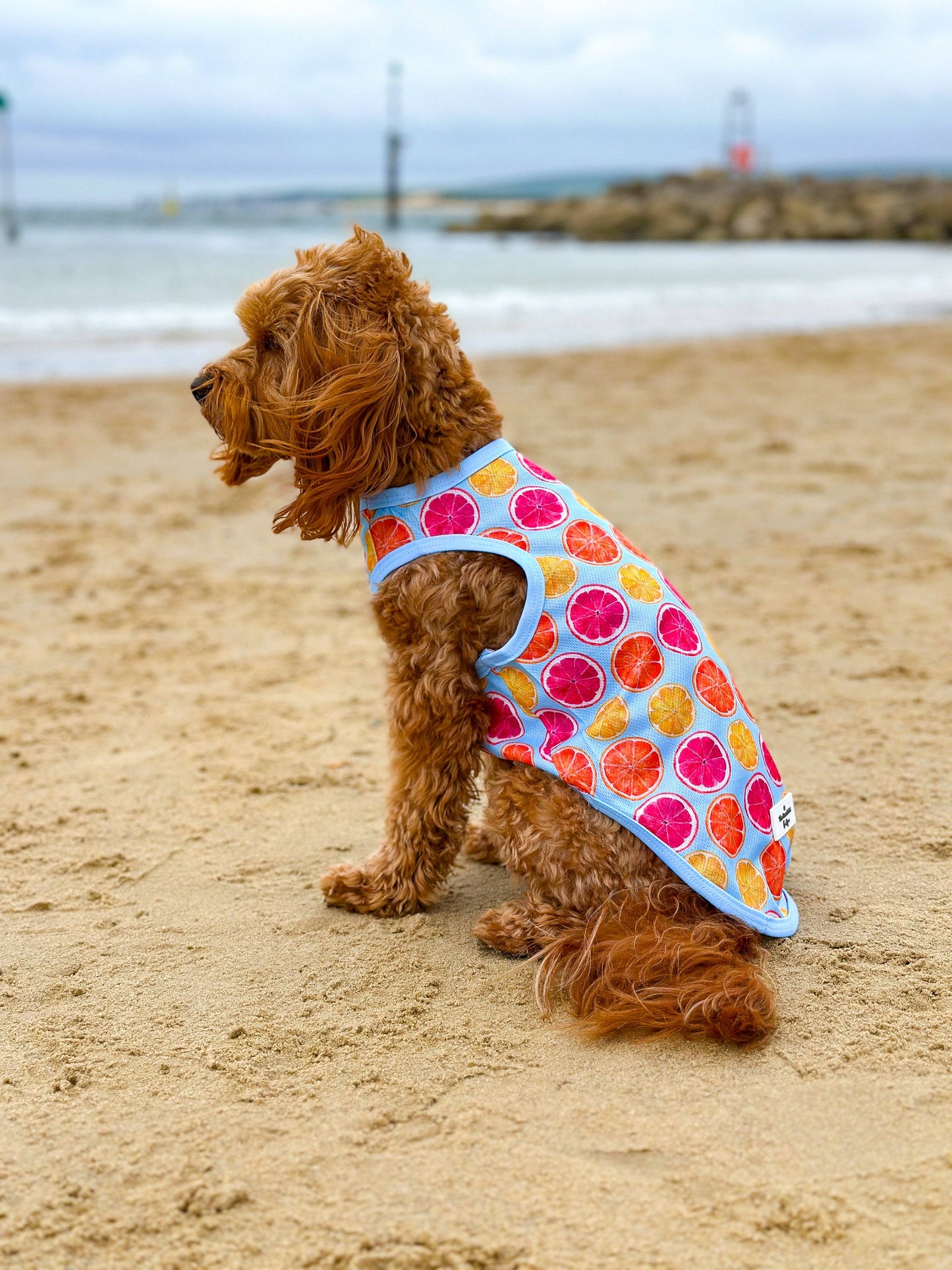 The Paw Print Boutique - Squeeze the Day Cooling Vest
