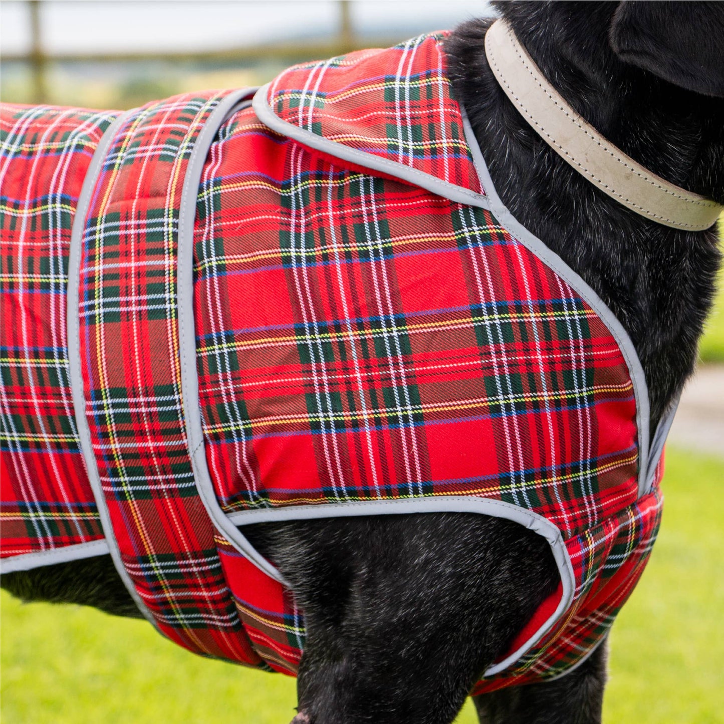 Ancol Pet Products Ltd - Heritage Wax Highland Tartan Coat XS-XL