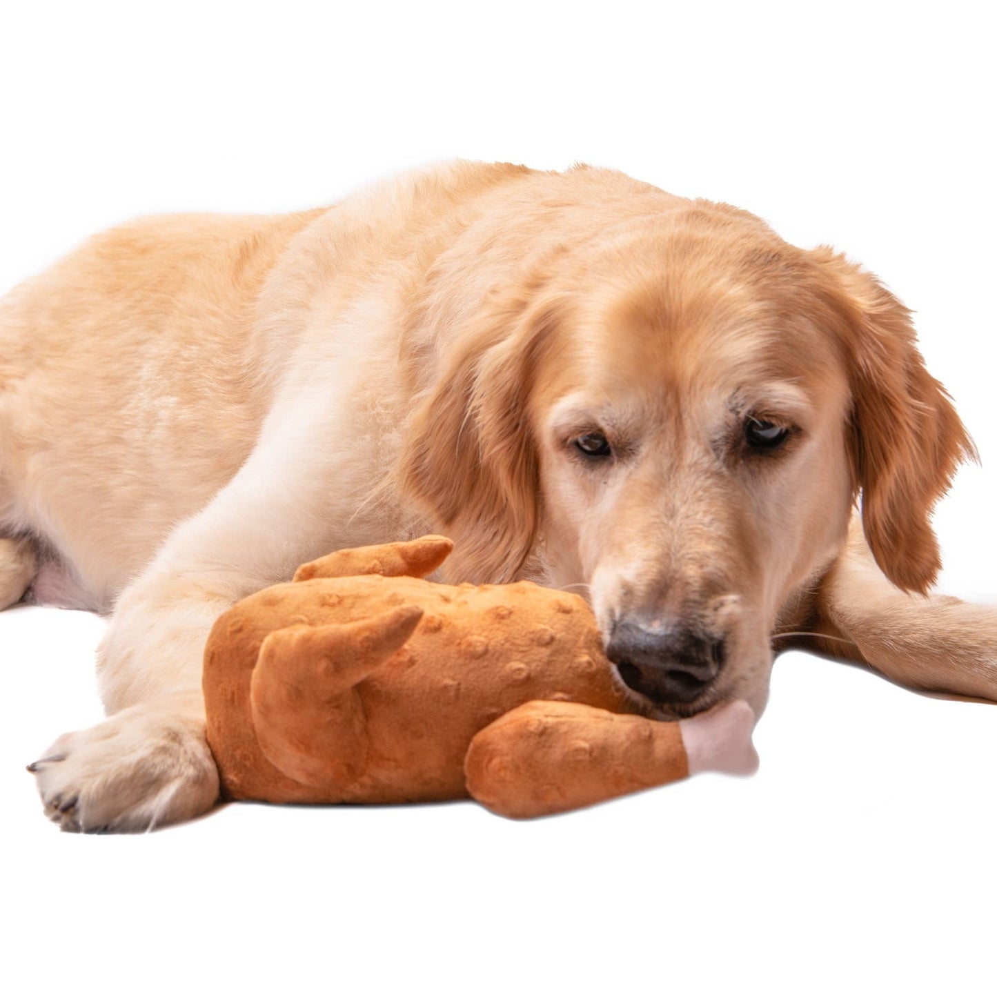 Midlee Designs - Midlee Roasted Thanksgiving Turkey Plush Dog Toy