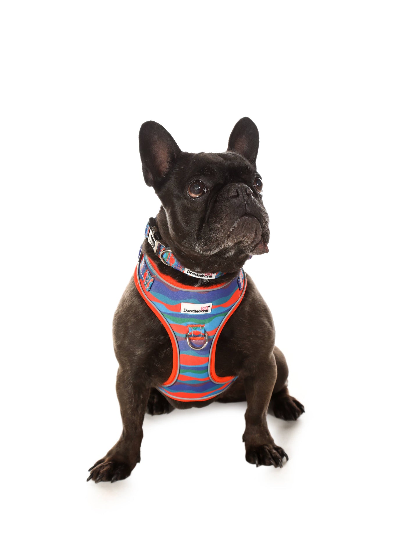 Doodlebone - Adjustable Airmesh Dog Harness