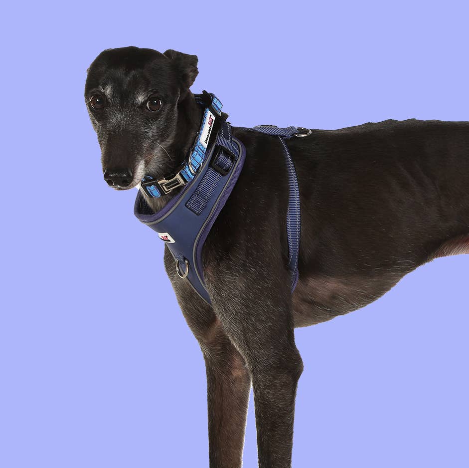 Doodlebone - Adjustable Airmesh Dog Harness