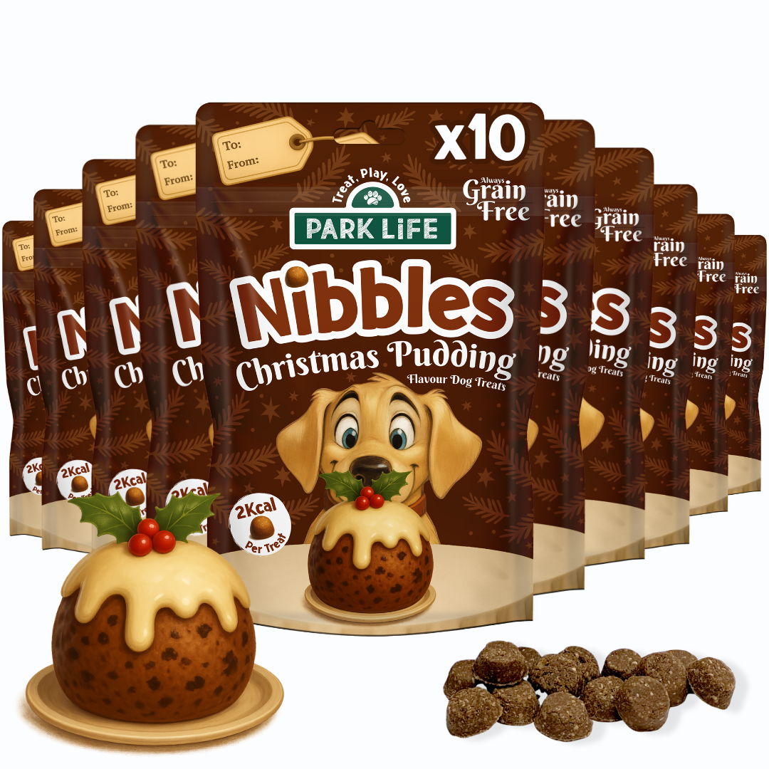 PARK LiFE - Nibbles Christmas Pudding 100g 10 PACK