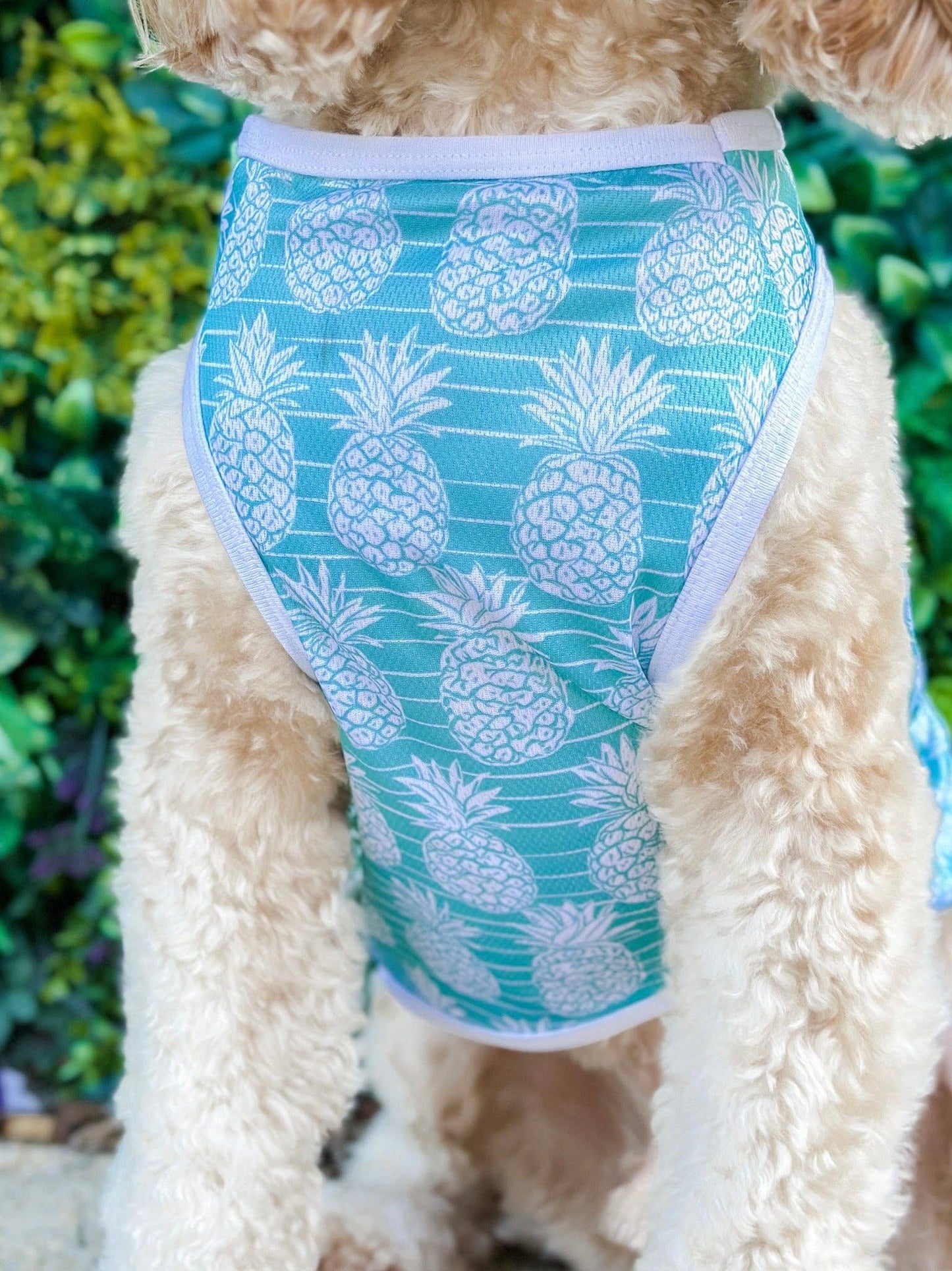 The Paw Print Boutique - The Pineapple Pawty Cooling Vest