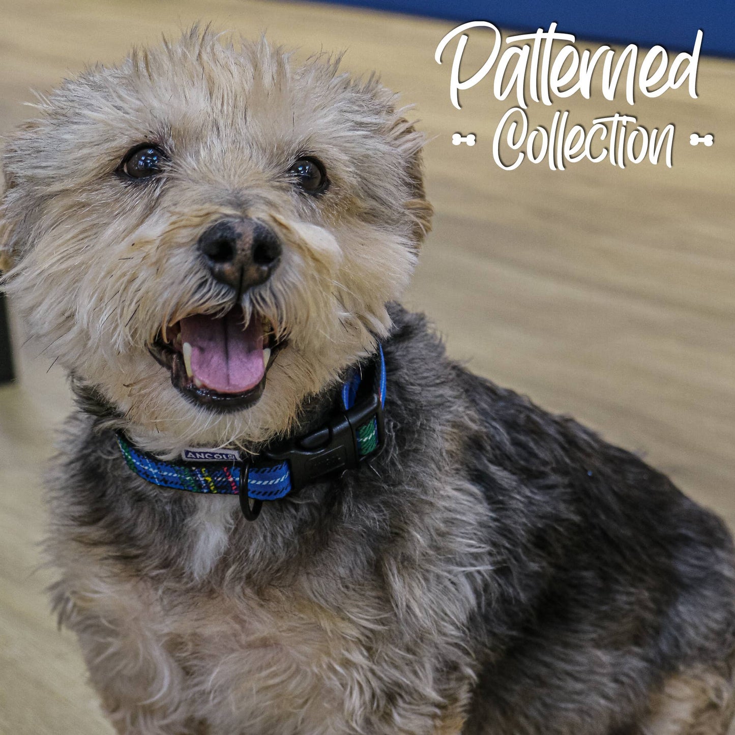 Ancol Pet Products Ltd - Patterned Collection Collar : Tartan
