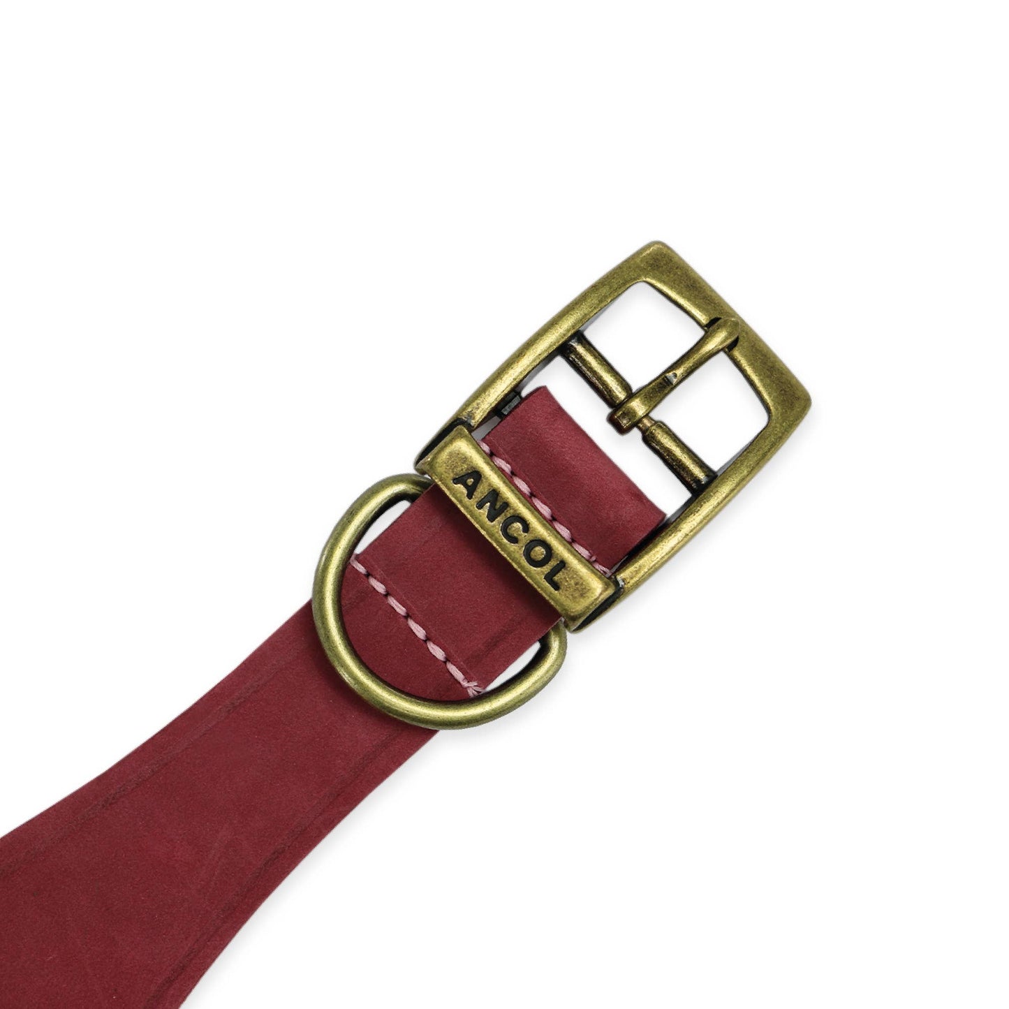 Ancol Pet Products Ltd - Timberwolf Leather Hound  Collar ( Size 30-34cm)