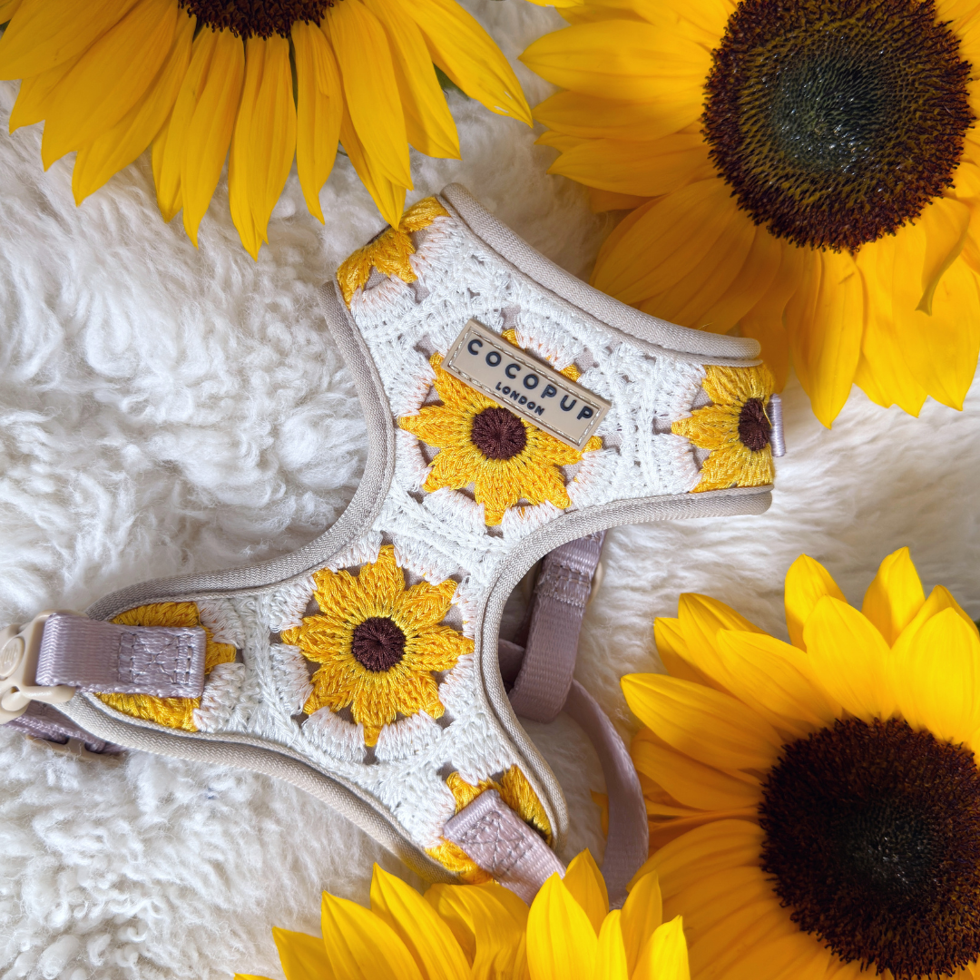 Cocopup London - Sunflower Patch Adjustable Neck Harness