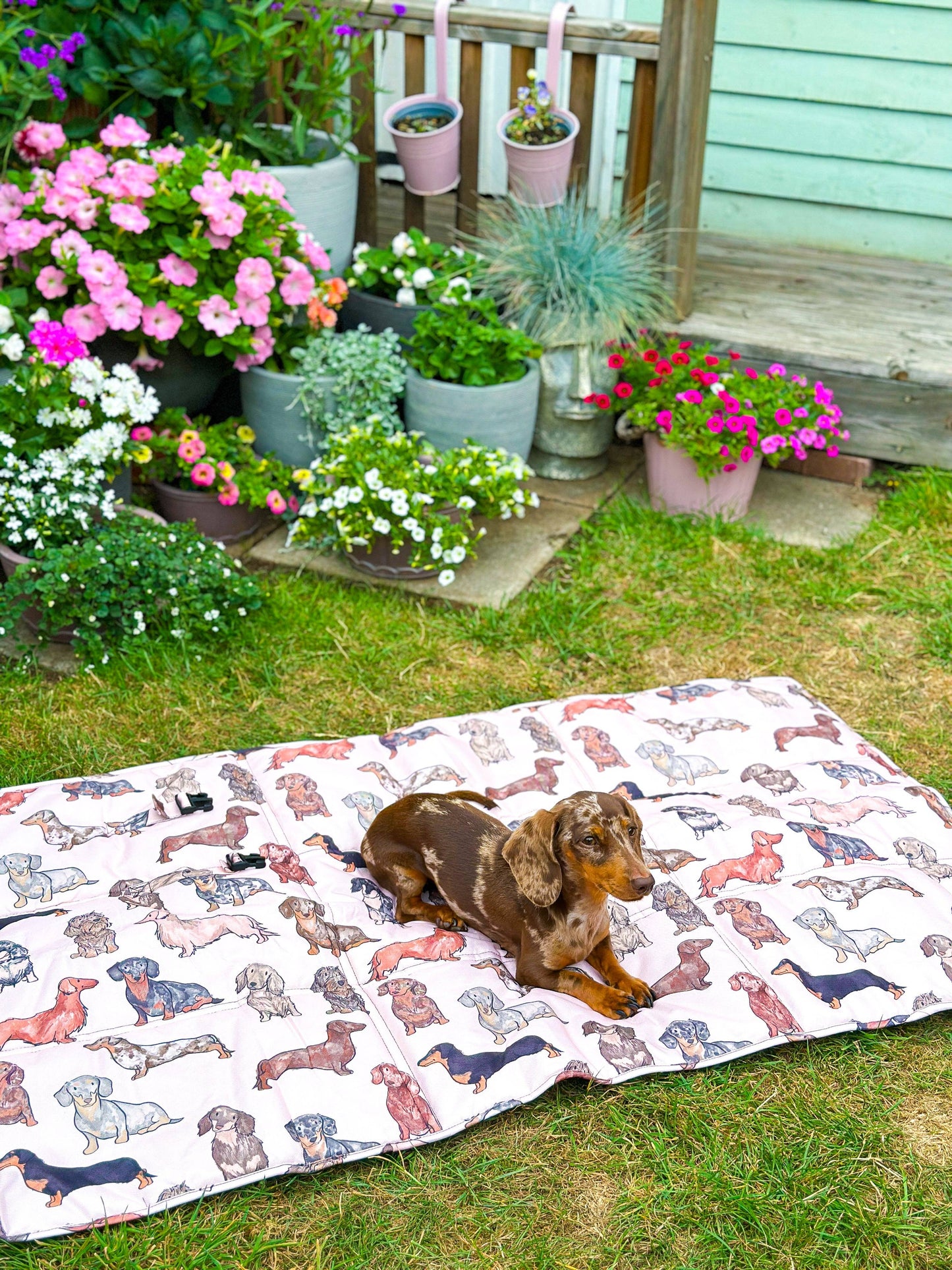 The Paw Print Boutique - The Dachshund Travel Mat