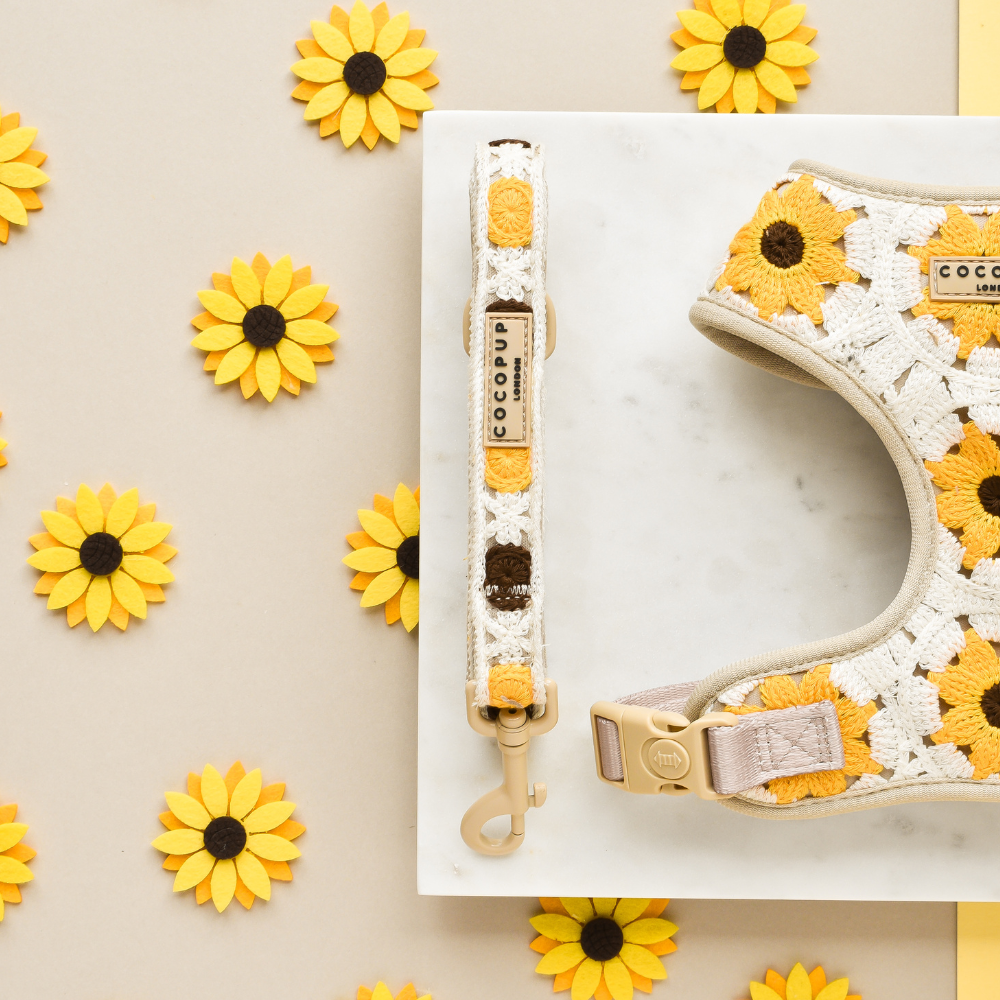 Cocopup London - Sunflower Patch Lead