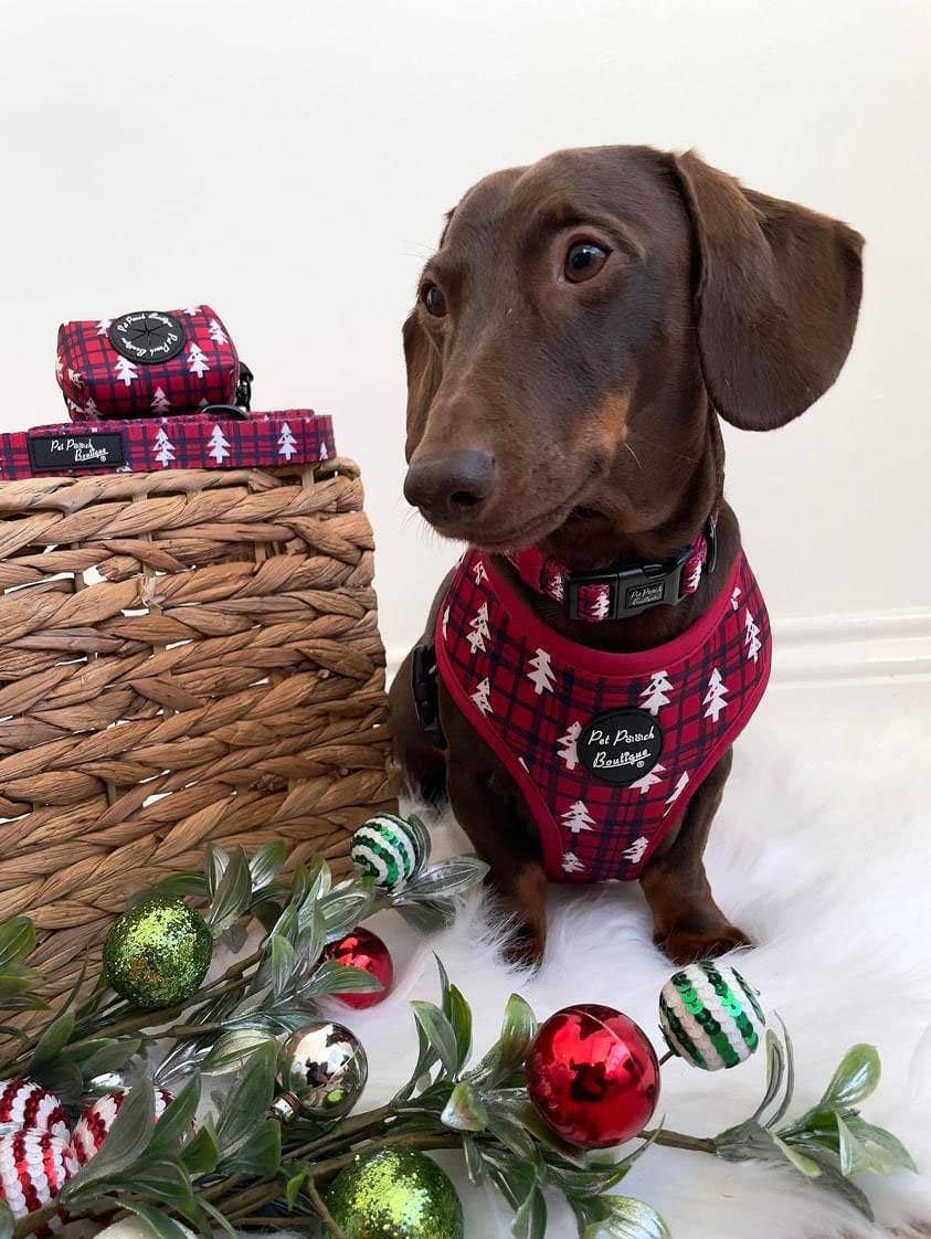 Pet Pooch Boutique - Winter Wonderland Plaid Christmas Puppy Dog Harness - XS - L